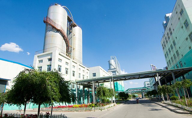 P . 新疆華泰重化工